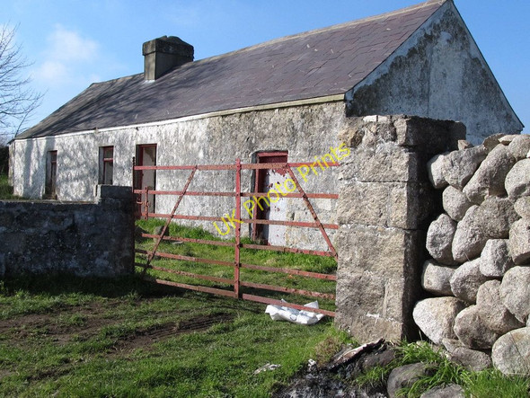 Photo 6"x4" A derelict traditional cottage of the Sabbath Hill track Annalong c2011