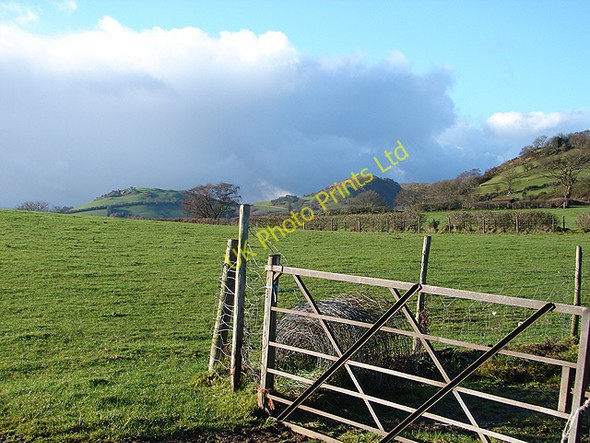 Photo 6"x4" Farmland at Llwyn-crwn Van\/SN9587 c2006