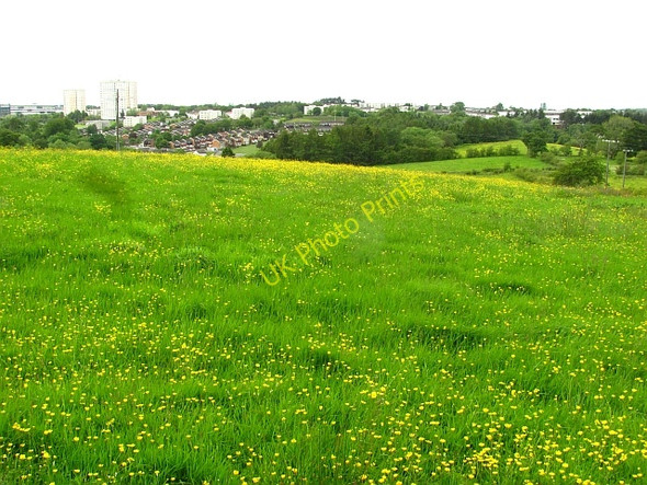 Photo 6"x4" Meadow  above the Calder Glen East Kilbride\/NS6354 c2011