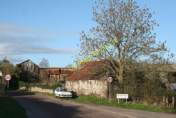 Photo 6"x4" Shute: farm at Whitford Hampton\/SY2696 c2006