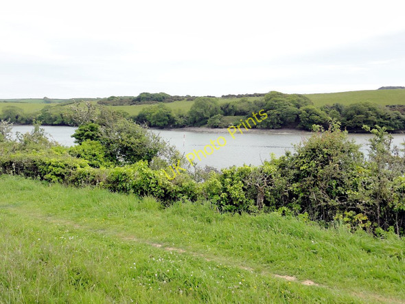 Photo 6"x4" On the Banks of Frogmore Creek East Charleton c2011