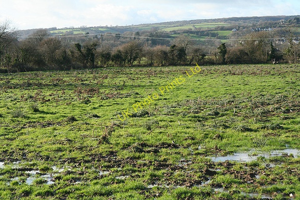 Photo 6"x4" Musbury: in the Axe valley Kingsdon\/SY2594 c2006