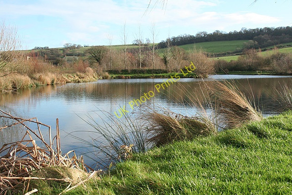 Photo 6"x4" Axmouth: Lower Bruckland Trout Fishery Musbury c2006