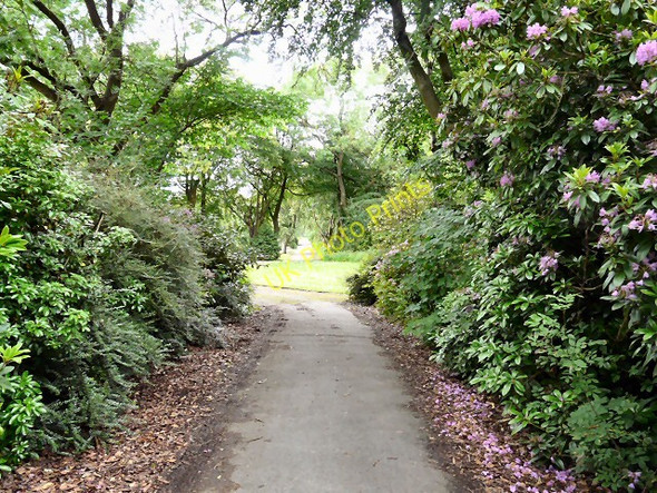 Photo 6"x4" Hyde Cemetery Hyde\/SJ9494 c2011
