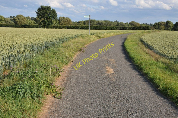 Photo 6"x4" Road at Birch Green Birch Green\/SO8545 c2011