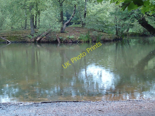 Photo 6"x4" Pond rain Loughton\/TQ4396 c2011