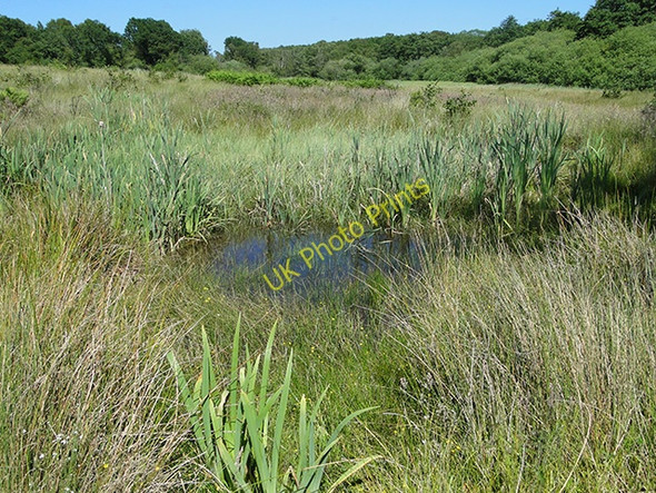 Photo 6"x4" Small pond on Holt Lowes near the River Glaven Holt\/TG0838 c2011