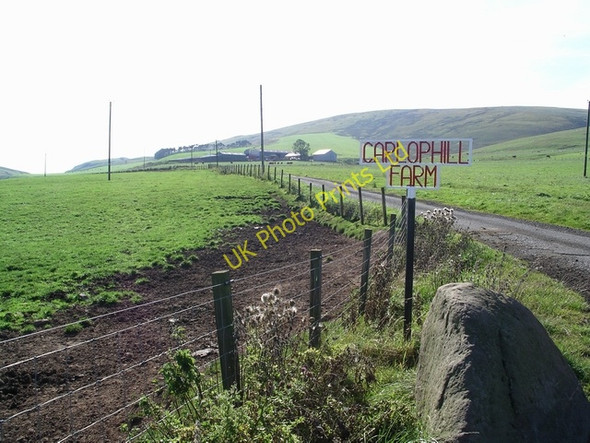 Photo 6"x4" Carlophill Farm Carlops c2005