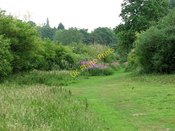 Photo 6"x4" Path on Swardeston Common Intwood c2011
