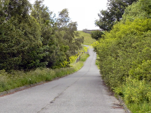 Photo 6"x4" Un-named Road to Clint Top Bowes\/NY9913 c2011