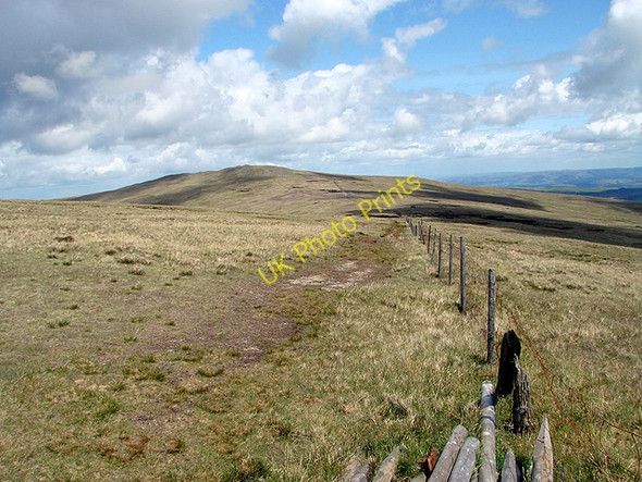 Photo 6"x4" Looking along the fence line towards Pen Pumlumon Arwystli Source of River Wye \/ Afon Gwy c2011