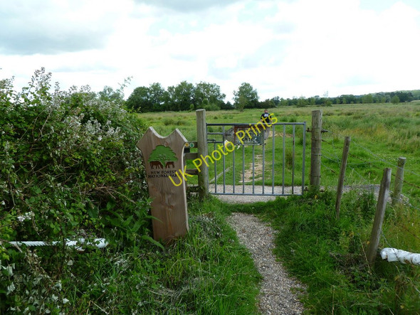 Photo 6"x4" Burgate, national park boundary Fordingbridge c2011