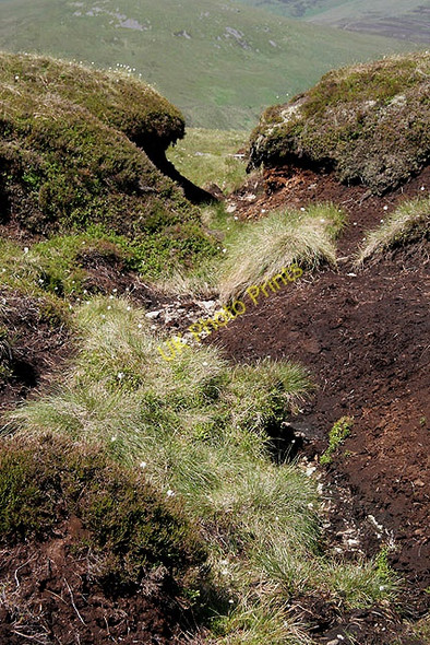 Photo 6"x4" Peat hags on West Hill West Hill\/NT8921 c2011