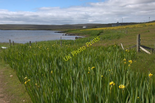 Photo 6"x4" North shore of the Loch of Galtagarth Hamnavoe\/HU4980 c2011