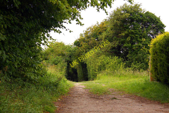 Photo 6"x4" Cornhill Lane to the A417 Childrey c2011