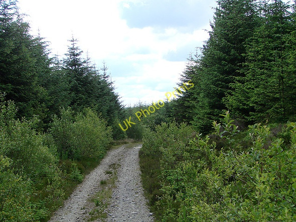 Photo 6"x4" Forestry road in Hafren Tynyrwtra\/SN8885 c2011