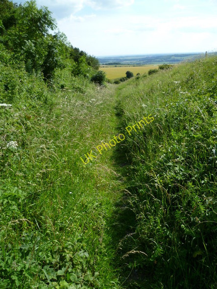 Photo 6"x4" Grassy path on Rackham Banks Cross Gate\/TQ0413 c2011