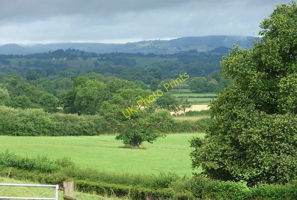 Photo 6"x4" Farmland near Crewgreen Criggion c2010