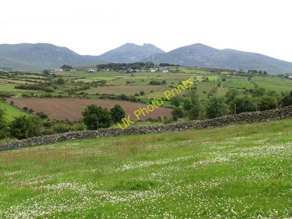 Photo 6"x4" Flowery meadow south east of Drumena Road Kilcoo c2011
