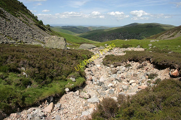 Photo 6"x4" The Bizzle Burn West Hill\/NT8921 c2011