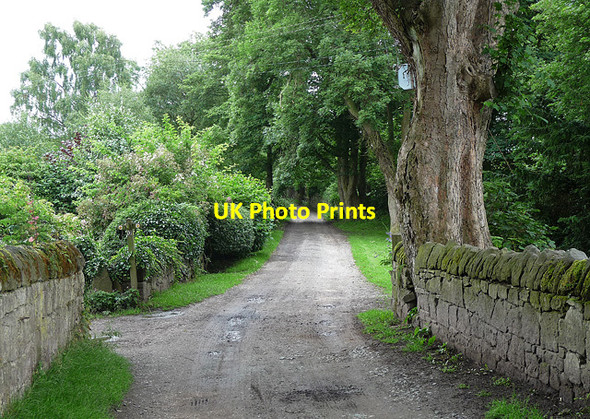 Photo 6"x4" Path near Grinshill (2) Grinshill c2010