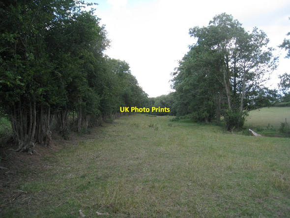 Photo 6"x4" The path to Norman's Wood Anthony's Cross c2011