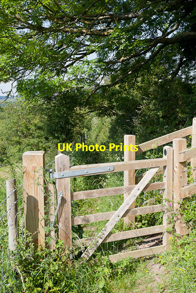 Photo 6"x4" Footpath descending Magdalen Hill to Shakespeare roundabout Winchester c2011