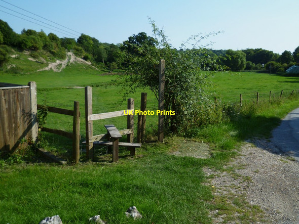 Photo 6"x4" Field between Burpham and Wepham Burpham\/TQ0408 c2011