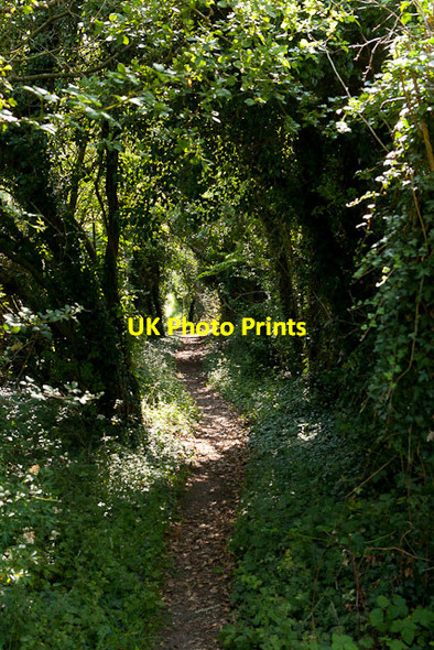 Photo 6"x4" Bridleway descending Magdalen Hill No Man's Land\/SU5029 c2011