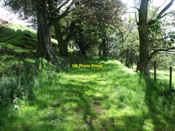 Photo 6"x4" Annathill, Right of Way Greenfoot c2011