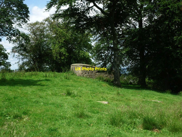 Photo 6"x4" The Annathill, tomb Mollinsburn c2011