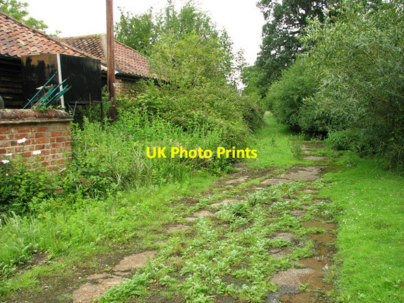 Photo 6"x4" Sibton footpath no. 3 Hemp Green c2011