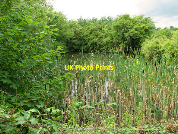 Photo 6"x4" Pond by Hill Farm, Sibton Green Hemp Green c2011