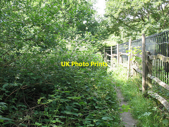 Photo 6"x4" Footpath behind the sewage works Langton Green\/TQ5439 c2011
