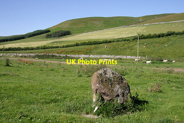 Photo 6"x4" A standing stone at Calroust Mowhaugh c2011