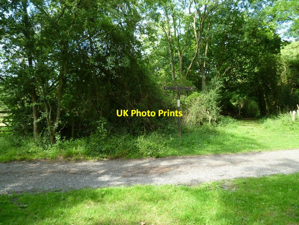 Photo 6"x4" Bridleway crosses the South Downs Way Graffham c2011