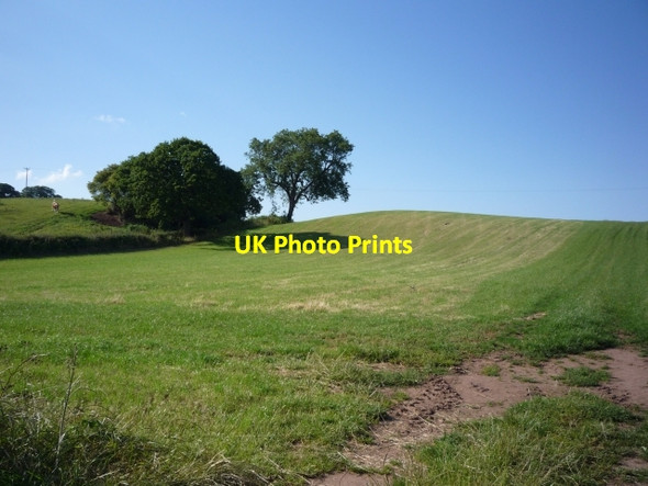 Photo 6"x4" Fields near Willington Willington Corner c2011