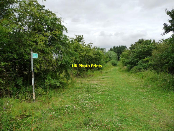 Photo 6"x4" Footpath to Ackworth Badsworth c2011