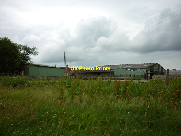 Photo 6"x4" Brown Howe Farm Stape c2011