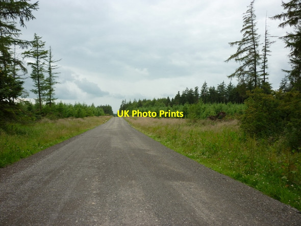 Photo 6"x4" Brown Howe Road, Newtondale Forest Drive Stape c2011