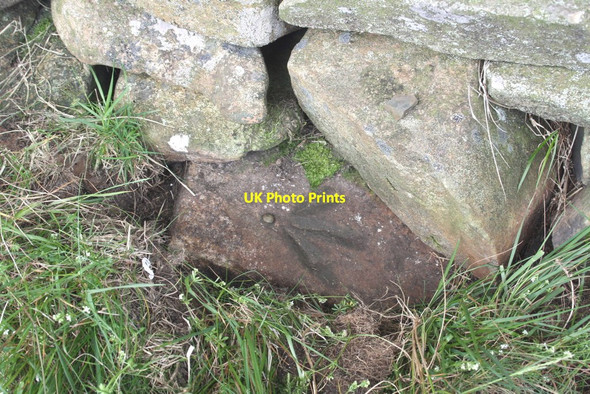 Photo 6"x4" Benchmark on stone at base of wall on Fell Road at Brownthwaite Moss Casterton c2011