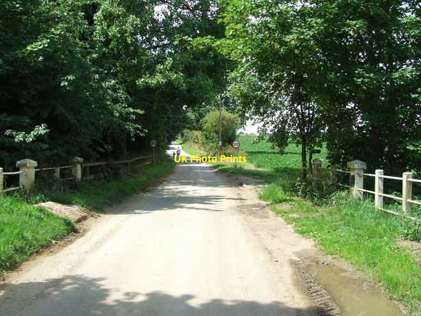 Photo 6"x4" Great Bradley Bridge East Green\/TL6853 c2011