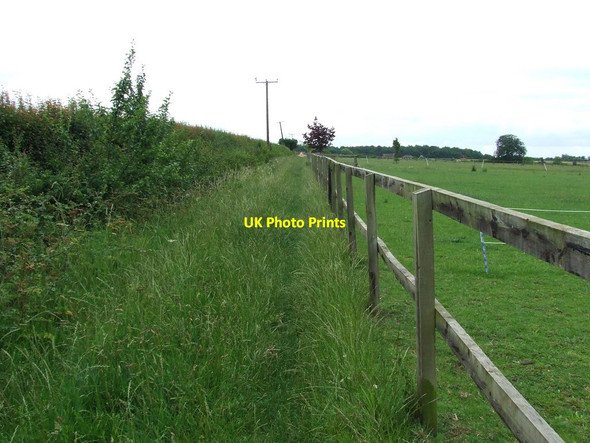 Photo 6"x4" Path And Paddocks Little Thurlow Green c2011