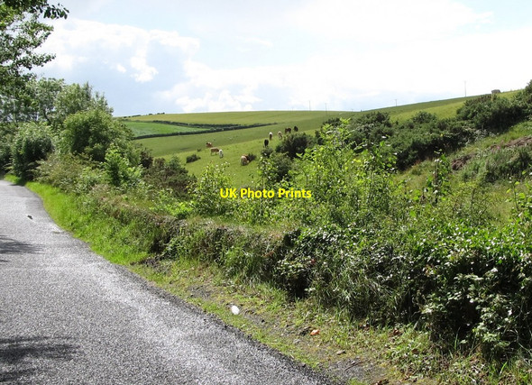 Photo 6"x4" Drumlins west of Drumgooland Road Annadorn c2011