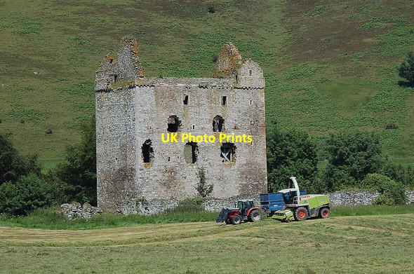 Photo 6"x4" Silage cutting, Newark Castle Broadmeadows\/NT4130 c2011