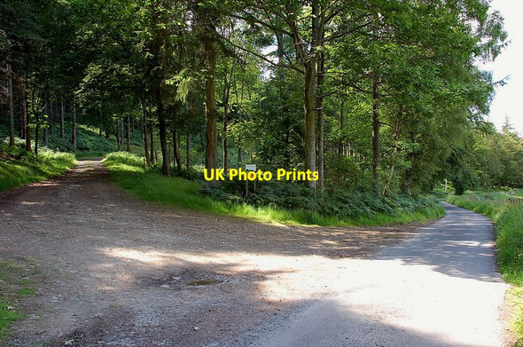 Photo 6"x4" Track junction, Duchess's Drive, Bowhill Estate Broadmeadows\/NT4130 c2011