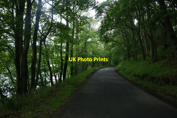 Photo 6"x4" Road beside Loch of Clunie Craigie\/NO1143 c2011