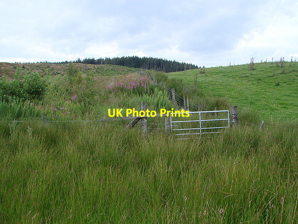 Photo 6"x4" Forestry boundary at Pen-y-Cerrig Tynyrwtra\/SN8885 c2011