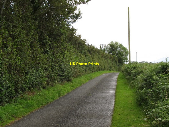 Photo 6"x4" Drumgooland Road south of the Seaforde-Drumgooland Road Crossroads Seaforde c2011