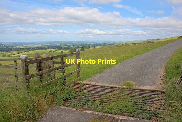 Photo 6"x4" Cattle Grid Cold Cotes\/SD7171 c2011